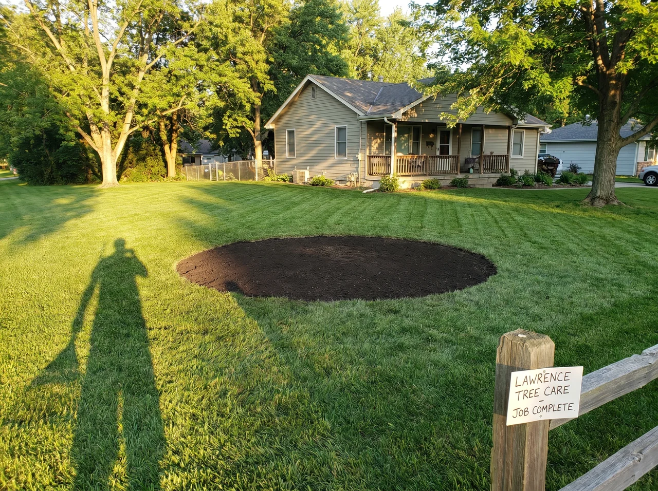 Clean yard after tree removal in Lawrence, Kansas